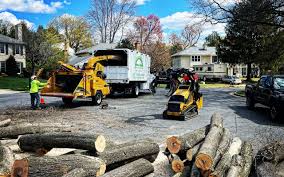 Leaf Removal in Flora, IL