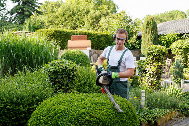 Best Tree Mulching  in Flora, IL